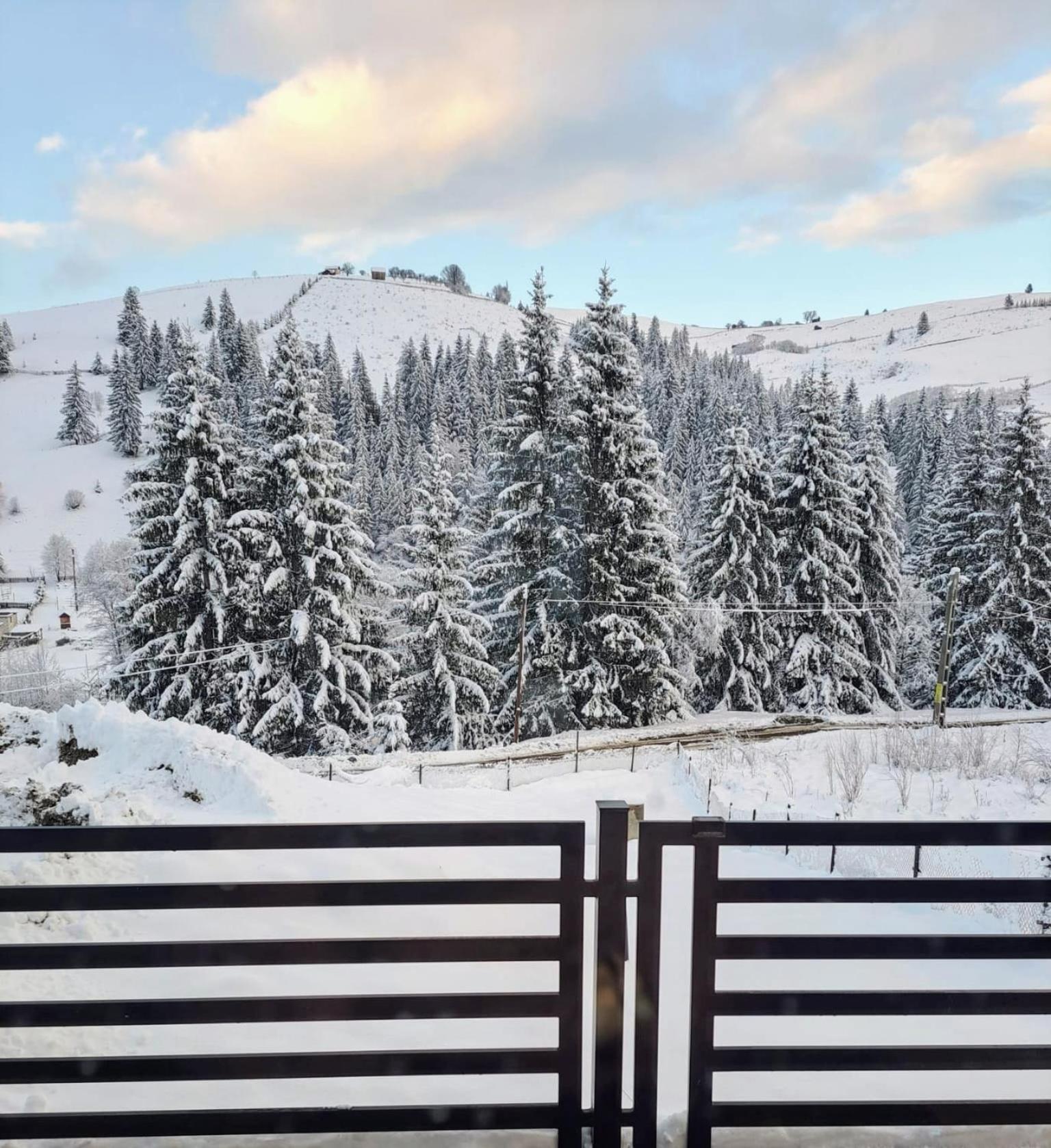 A Pisc Hotel Vatra Moldoviţei Екстериор снимка